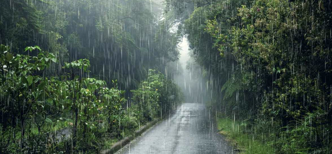 The "discovery" of the Monsoon System
