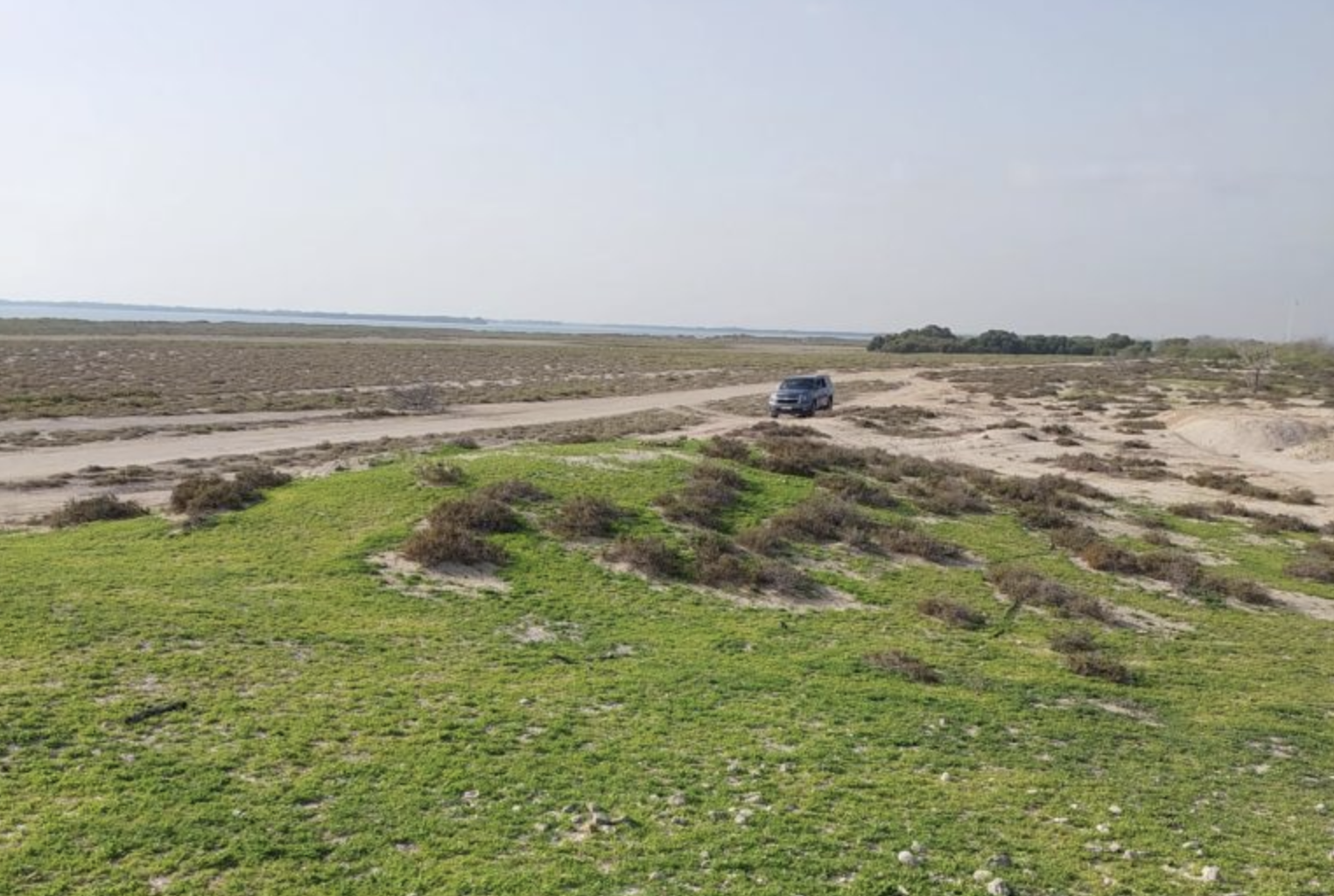 Old UaQ 1 (13th to 15th century)