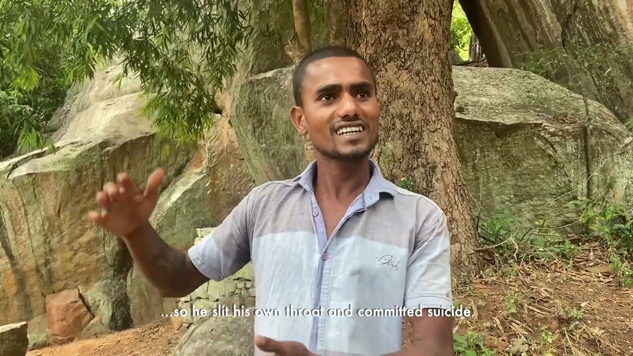 Matale District, Sri Lanka: Ebony Tree